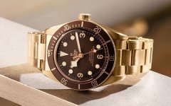 帝舵腕表表针脱落处理方法（专业维修技巧与注意事项）